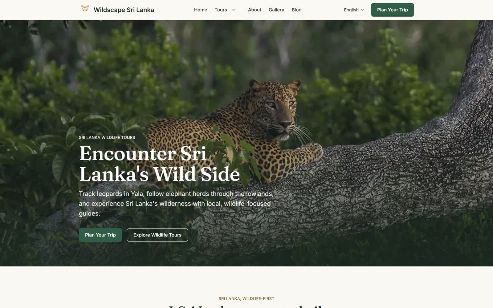 Wildscape Sri Lanka home page: a leopard resting on a tree branch beneath the headline “Encounter Sri Lanka’s Wild Side”.